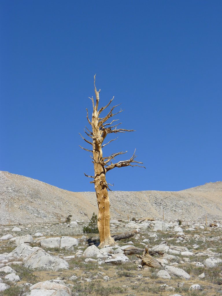 SouthernSierra 206